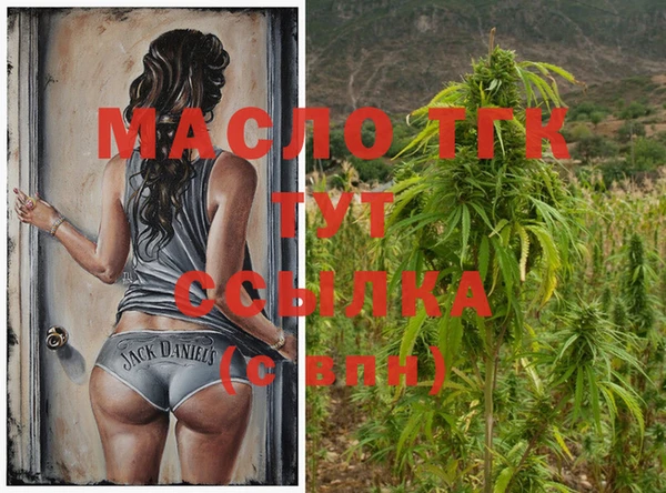 амф Сясьстрой